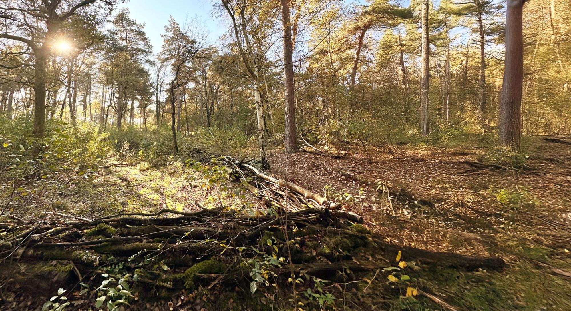 Wellness Tuin - Ultieme Partner Beleving - St Hubertus Suite Met Jacuzzi ,Openhaard, Prive Hottub En Prive Sauna In Jachthut Stijl Horst Zewnętrze zdjęcie
